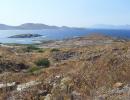 Delos_general_Copy