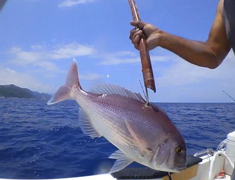 fishing trips around Mykonos
